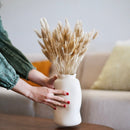 Natürlicher getrockneter Lagurus -Stiefel