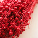 Botte fleurs séchées Lin Rouge