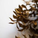 Botte fleurs stabilisées Ruscus Vert olive