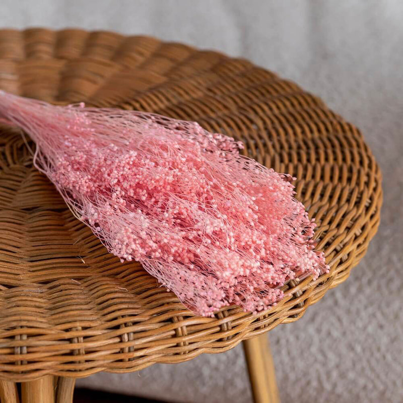 bottes-fleurs-sechees-flowrette-coloree-broom-bloom-rose