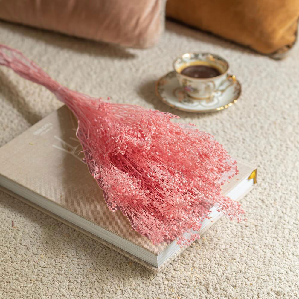 bottes-fleurs-sechees-flowrette-coloree-broom-bloom-rose