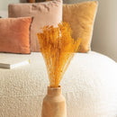 bottes-fleurs-sechees-flowrette-coloree-terracotta-broombloom