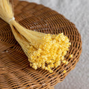 bottes-fleurs-sechees-flowrette-colores-glixia-jaune