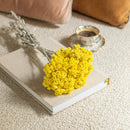 bottes-fleurs-sechees-flowrette-coloree-jaune-vif