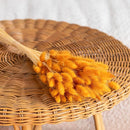 bottes-fleurs-sechees-flowrette-coloree-lagurus-terracotta