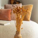 bottes-fleurs-sechees-flowrette-coloree-phalaris-ocres