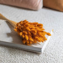 bottes-fleurs-sechees-flowrette-coloree-lagurus-terracotta