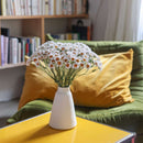 belles-camomilles-papier