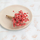 Boutonnière gypsophile rose