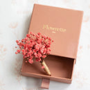 Boutonnière gypsophile rose