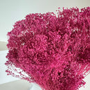 Botte fleurs séchées Broom bloom Violet