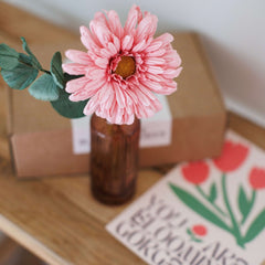 Blühende Kehle rosa