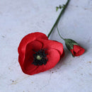 coquelicot-rouge-intense