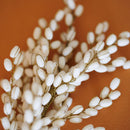 Branchage en laiton blanc