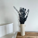 Botte fleurs séchées Eucalyptus Baby Vert