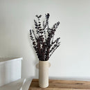 Botte fleurs séchées Eucalyptus Baby Bordeaux