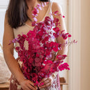 Botte fleurs stabilisées eucalyptus stuartiana rubis stabilisé