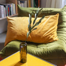 olivier-papier-vert-melanger