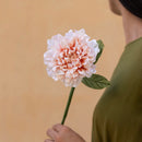 fleur-papier-flowrette-dalia-corail-colore