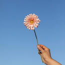 fleur-papier-flowrette-gerbera-corail