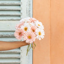 fleur-papier-flowrette-gerbera-corail