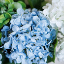 Hellblaue Hortensie