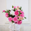 Dunkelrosa Pfingstrose