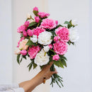 Dunkelrosa Pfingstrose