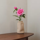 Dunkelrosa Pfingstrose