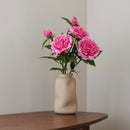 Dunkelrosa Pfingstrose