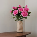 Dunkelrosa Pfingstrose