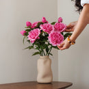 Dunkelrosa Pfingstrose