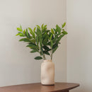 Grüner künstlicher Ruscus