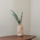 Eukalyptus babygrün