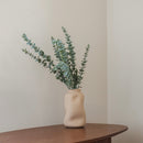 Eukalyptus babygrün