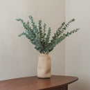 Eukalyptus babygrün