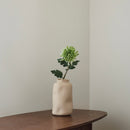 Grüne Chrysanthemen