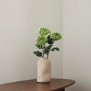 Grüne Chrysanthemen