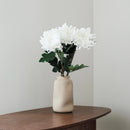 Weißer Chrysanthemen