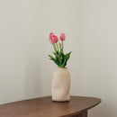 Pink Tulp