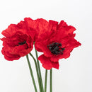 fleurs-en-papier-flowrette-beaux-coquelicot-rouge