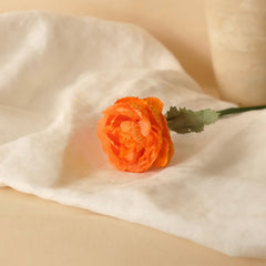 Orangenpapier Butterholz