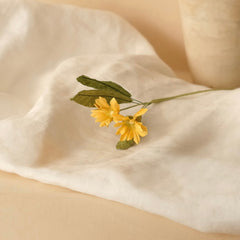 Wilde Margueriten in gelbem Papier