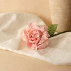 Große Dame Rose in hellrosa Papier