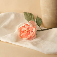 Pfirsichpapiergarten Pfingstrosen