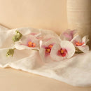 Orchidée papillon en papier rose et blanc