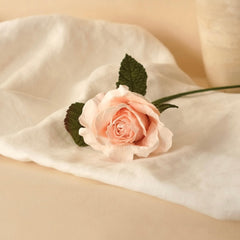 Kleine Rose -Dame in Champagnerpapier