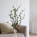 liane-en-papier-vert