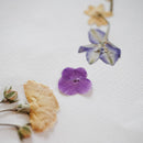 Rundes Frühlingsherbarium A4