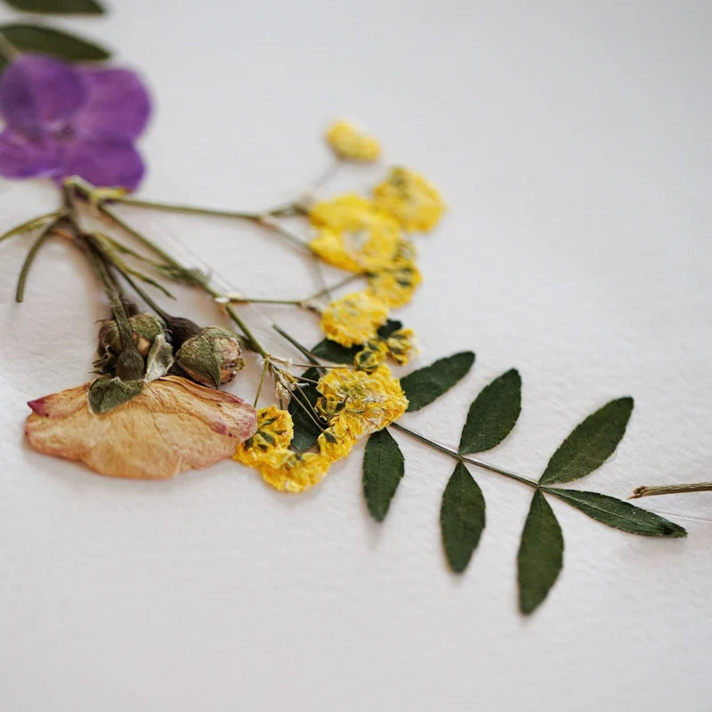 Rundes Frühlingsherbarium A4